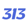 313.com
